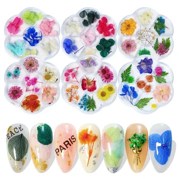 1 Caixa de Secas Flor Decoração de Unhas Naturais Flor de Folhas de Girassol 3D de Flores Secas Prego em Japonês UV Gel Nail Art Habilidades Encantador